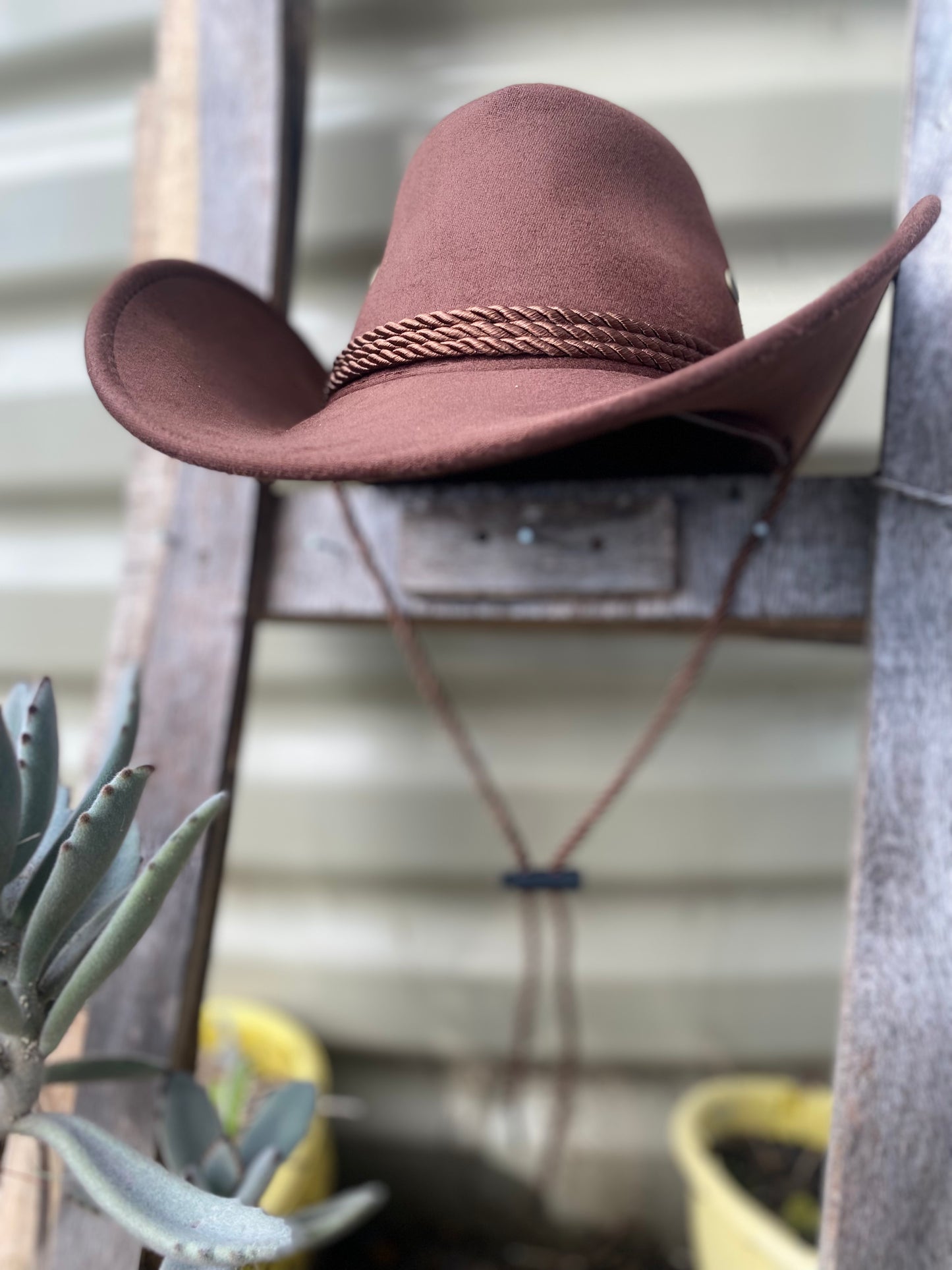 Western Brim Catch of the Day T&A