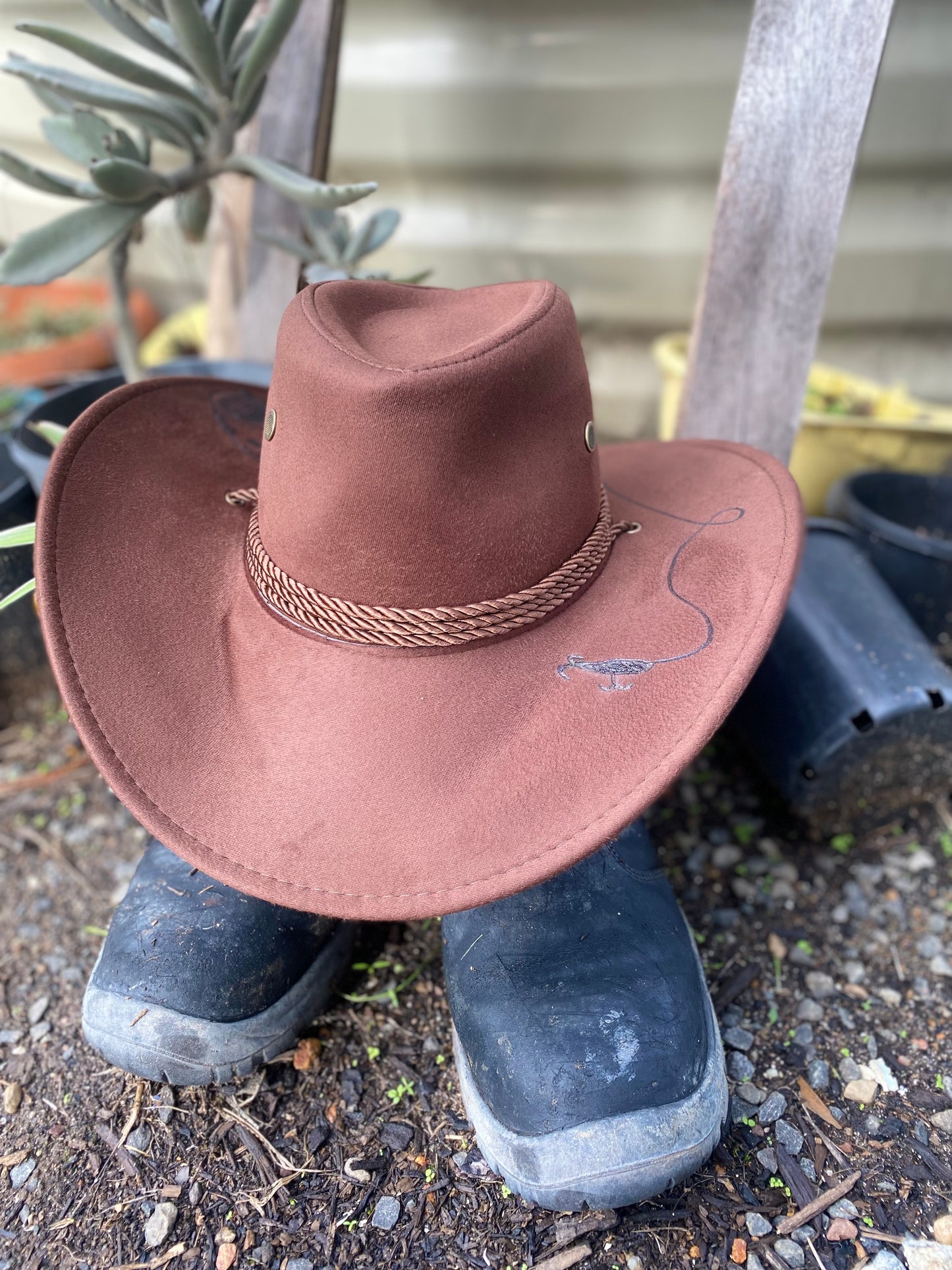 Western Brim Catch of the Day T&A