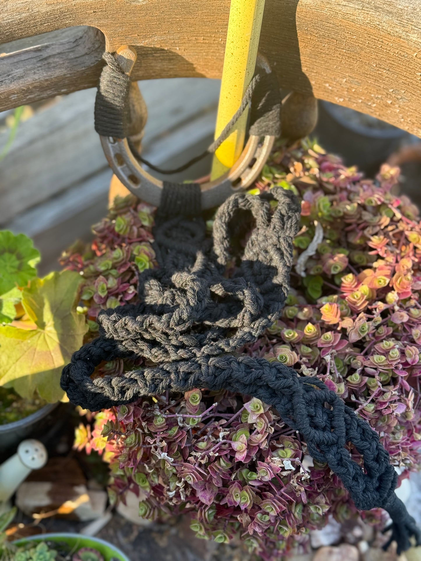 Horse Shoe Hat Hangers