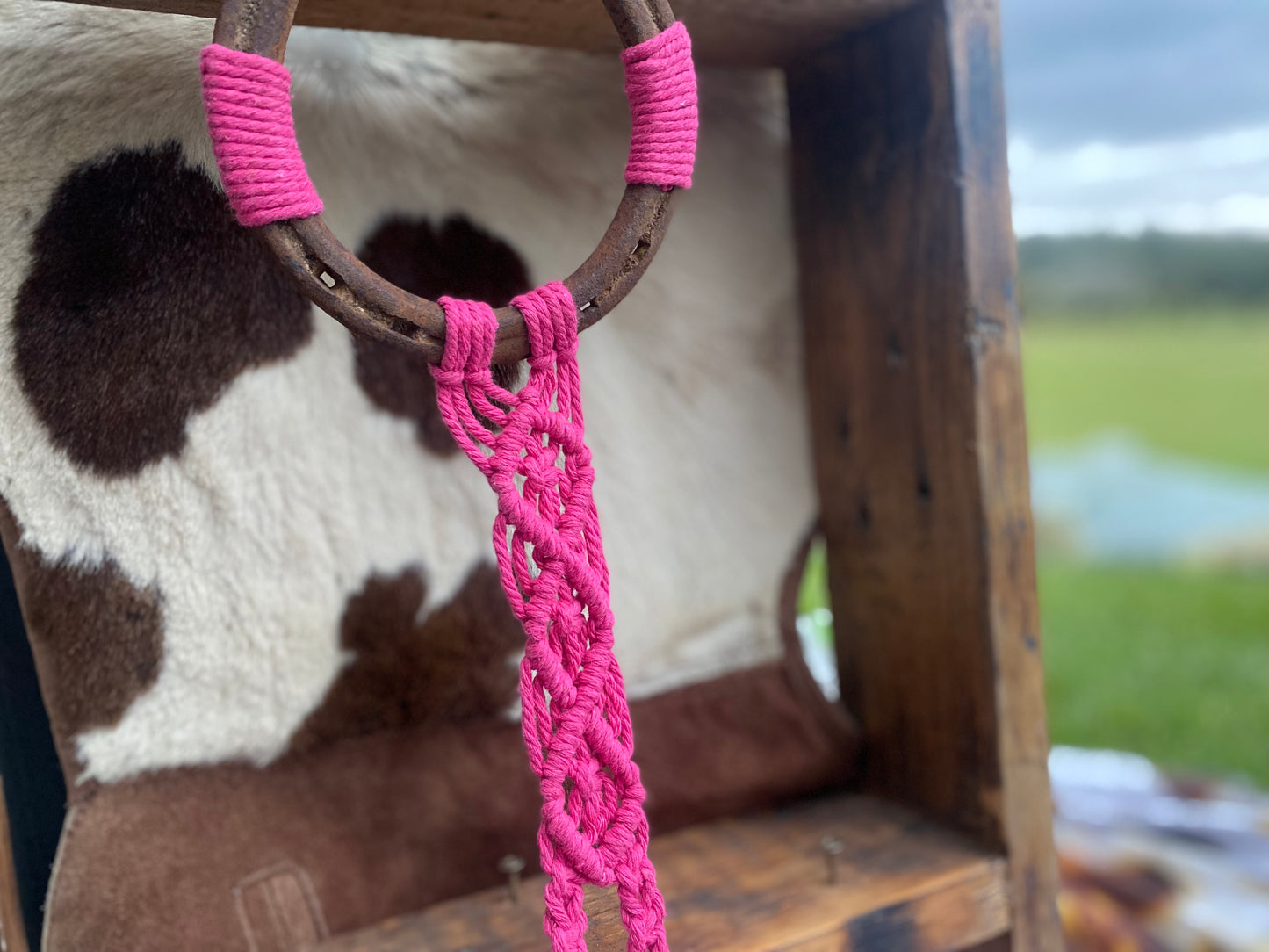 Horse Shoe Hat Hangers