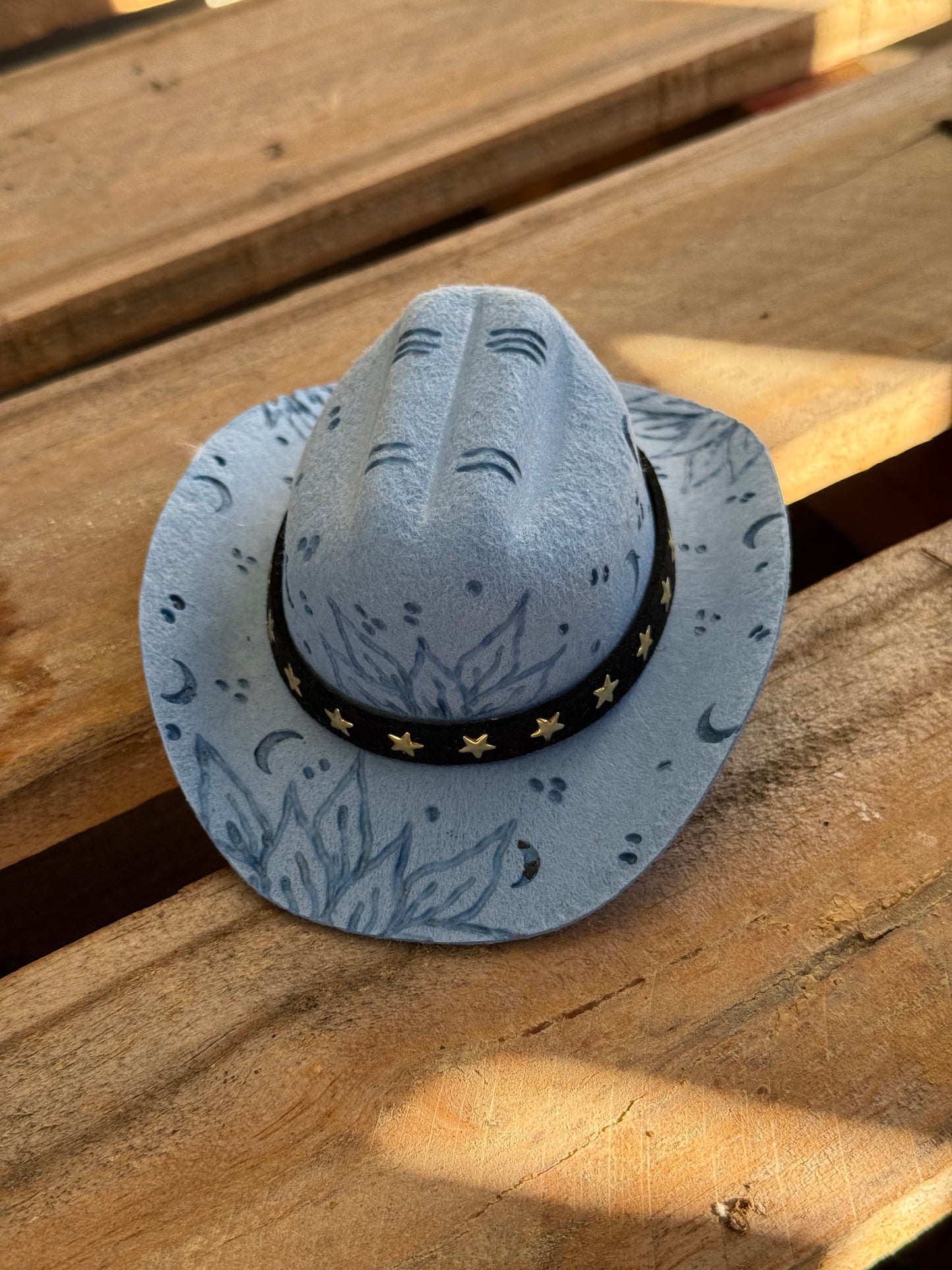 Wild West Pet Hat