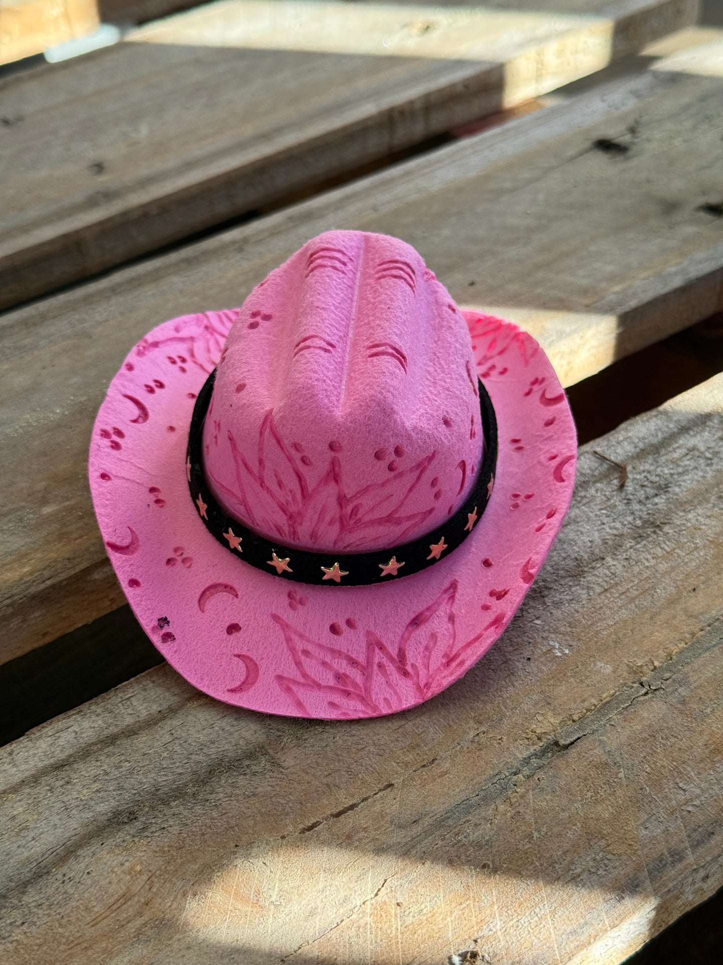 Wild West Pet Hat