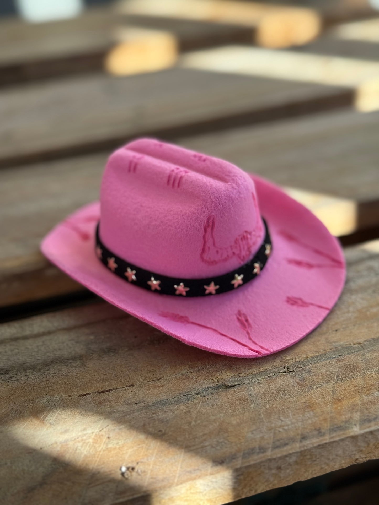Wild West Pet Hat