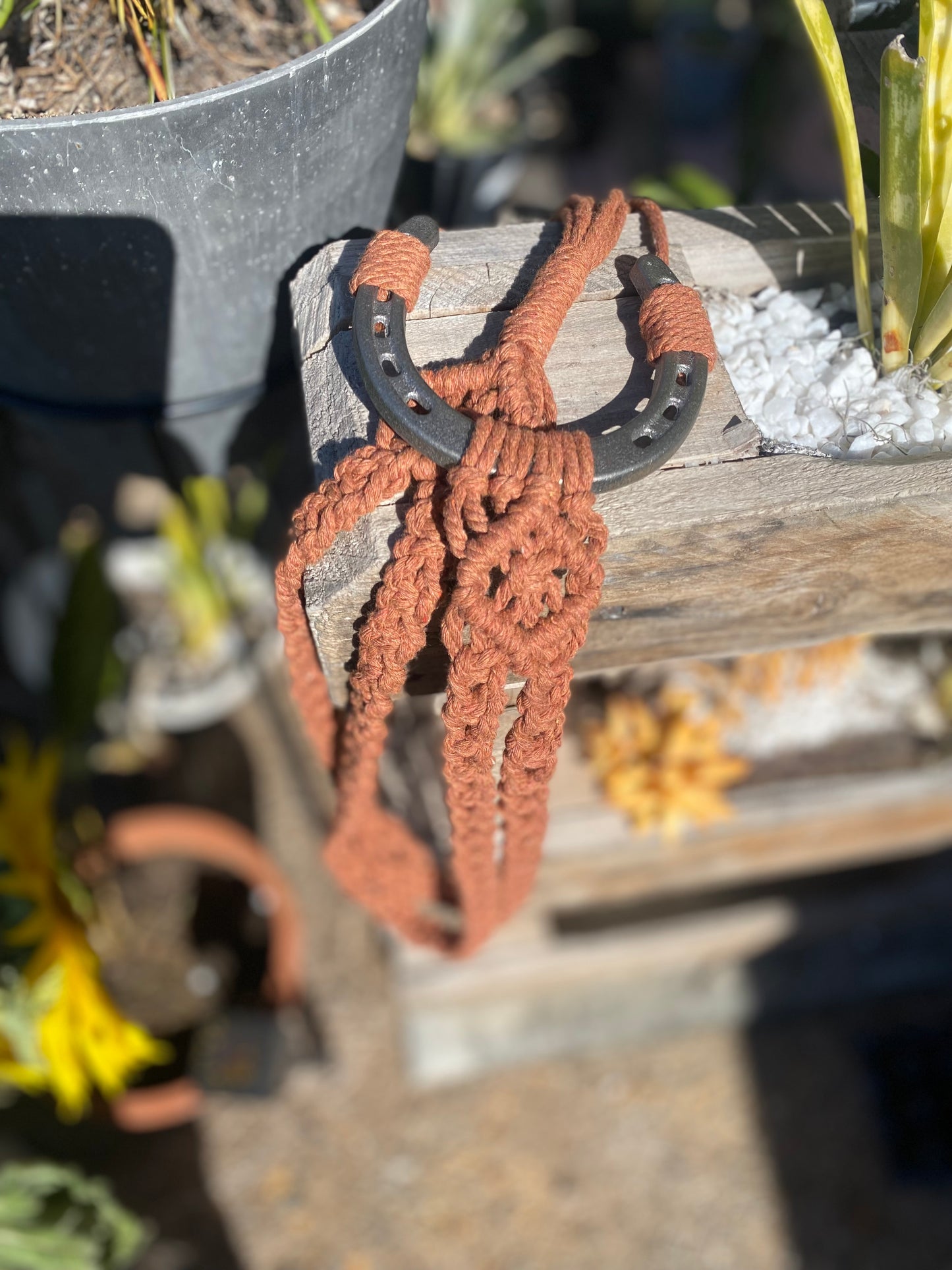 Horse Shoe Hat Hangers