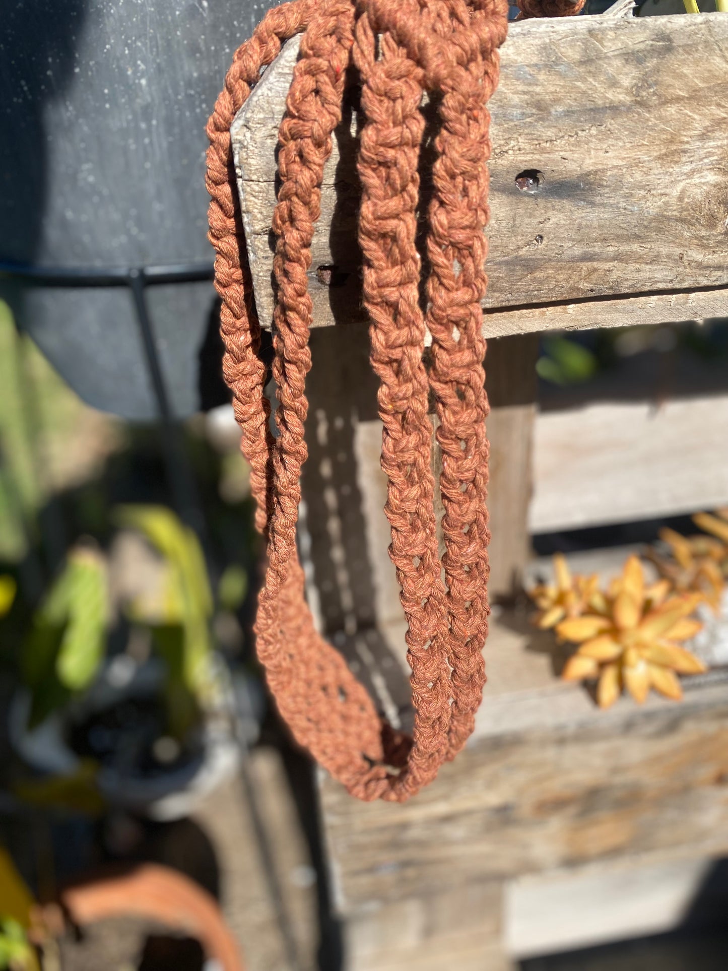Horse Shoe Hat Hangers