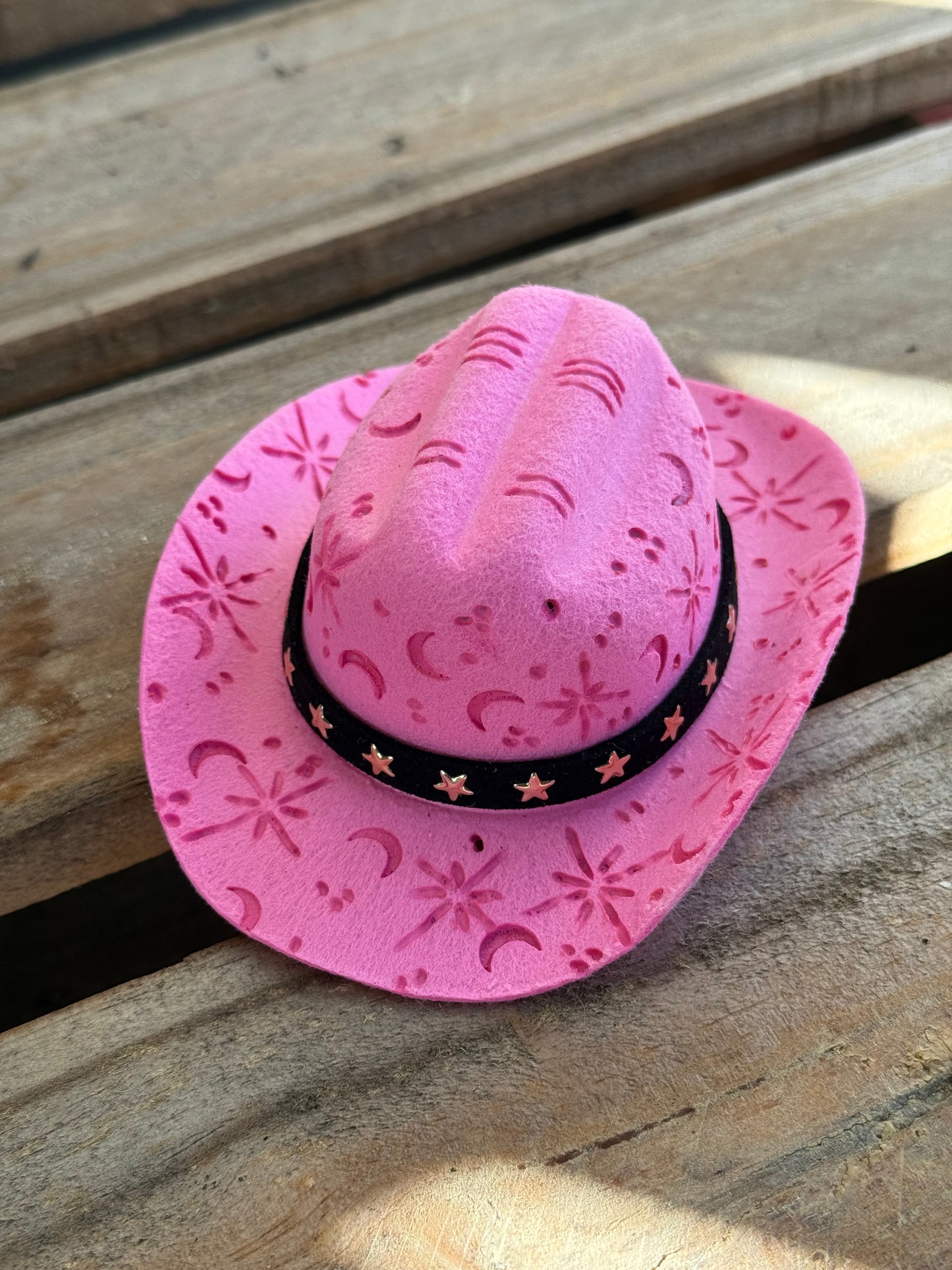Wild West Pet Hat