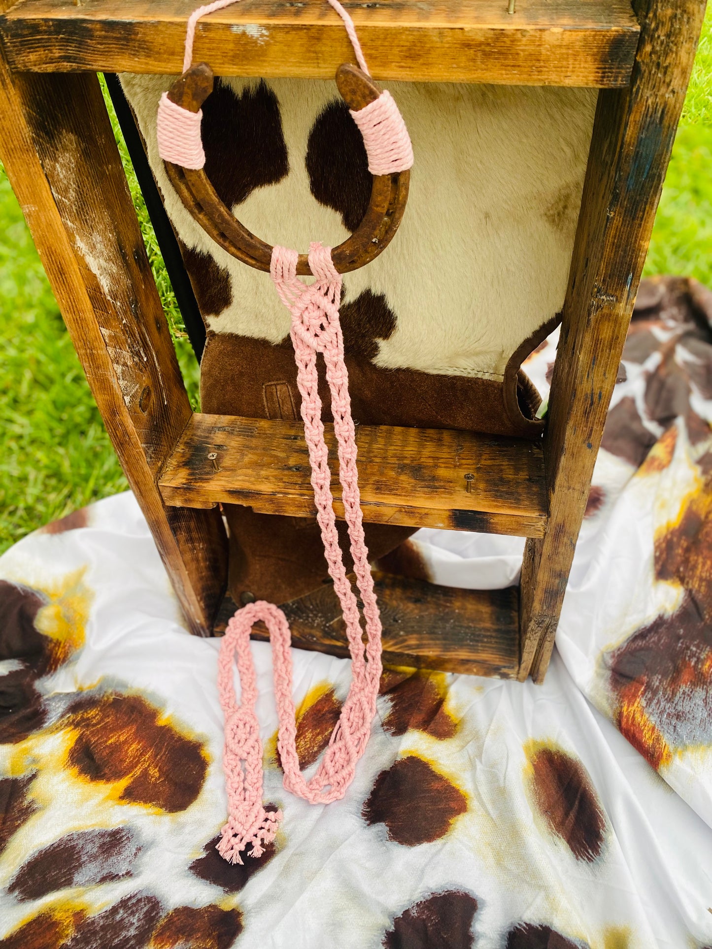 Horse Shoe Hat Hangers