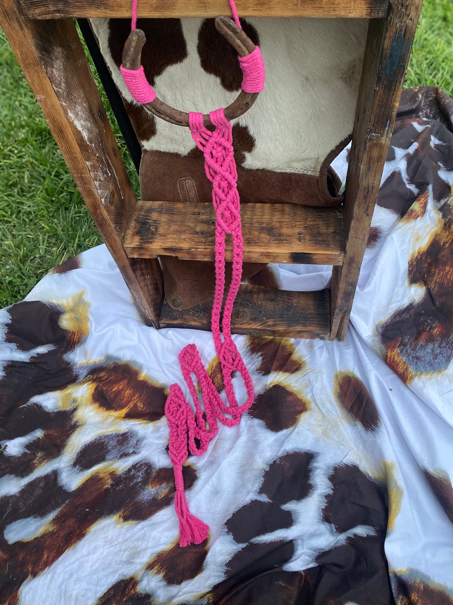 Horse Shoe Hat Hangers