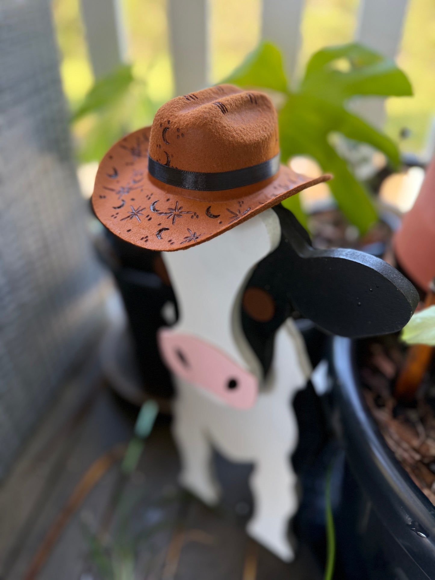 Wild West Pet Hat