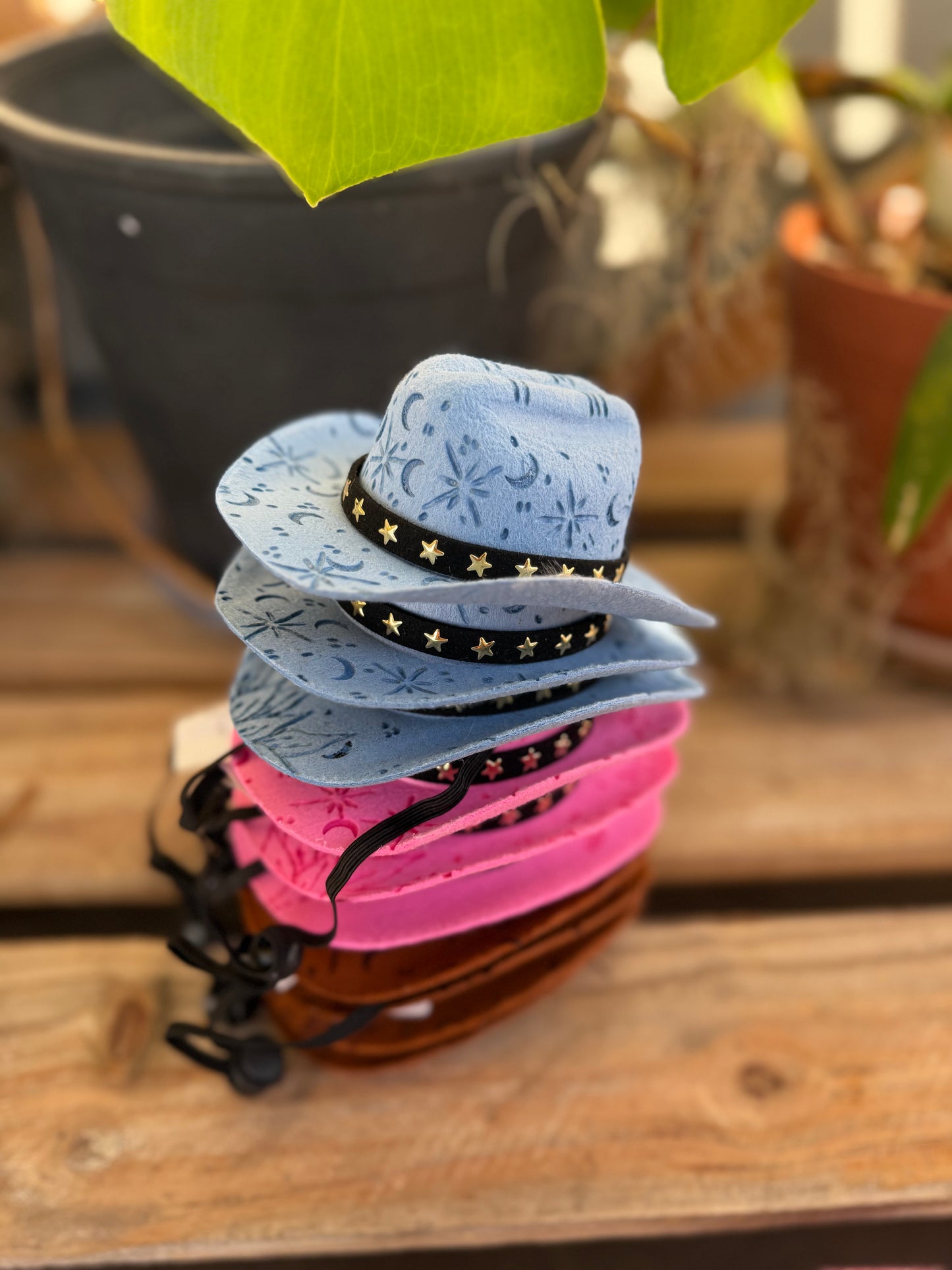 Wild West Pet Hat