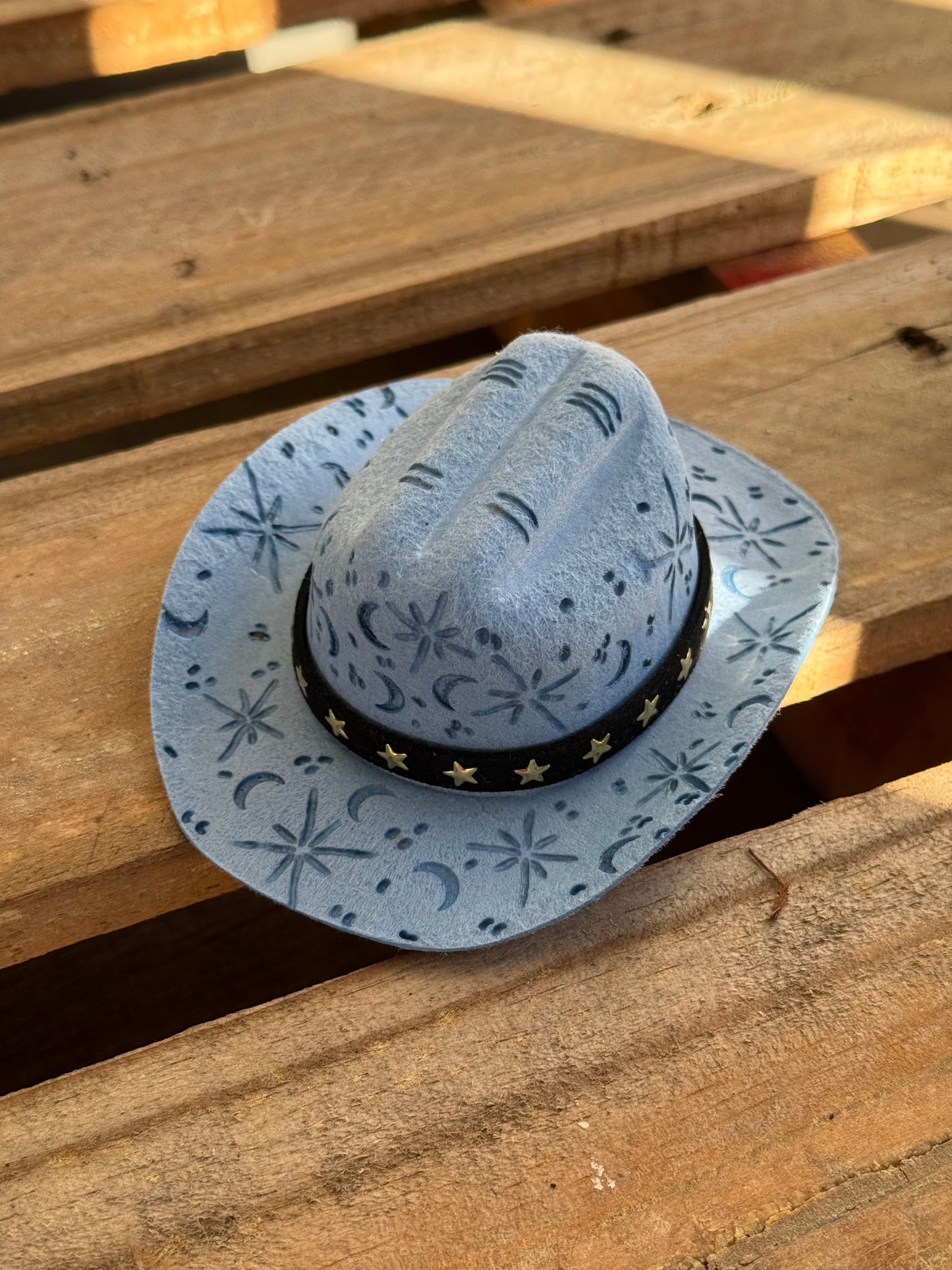 Wild West Pet Hat